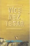 Více než tesař