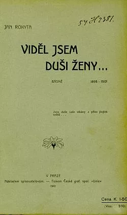 Viděl jsem duši ženy...