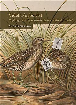 Vidět a/nebo číst - Kapitoly o vztahu obrazu a slova v moderním umění