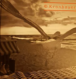Viktor Kronbauer - Divadelní fotografie