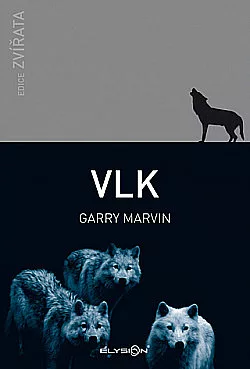Vlk