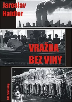 Vražda bez viny