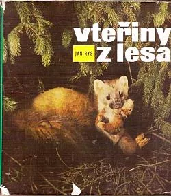 Vteřiny z lesa