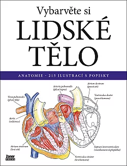 Vybarvěte si lidské tělo