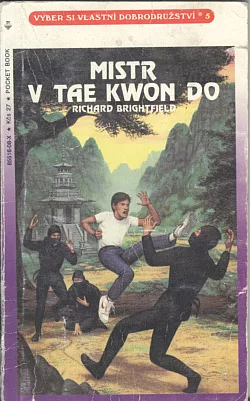 Mistr v tae kwon do