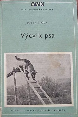 Výcvik psa