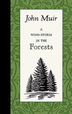Wind-Storm in the Forests