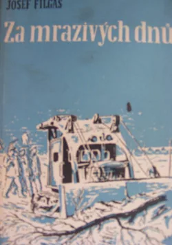 Za mrazivých dnů