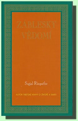 Záblesky vědomí