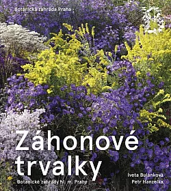 Záhonové trvalky