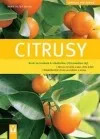 Citrusy