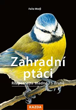 Zahradní ptáci: Rozpoznejte snadno 75 druhů