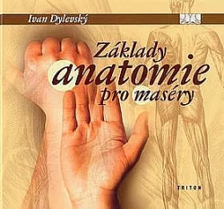 Základy anatomie pro maséry