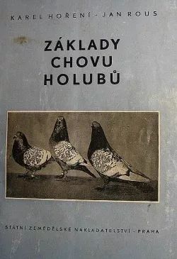 Základy chovu holubů