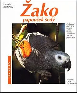 Žako, papoušek šedý