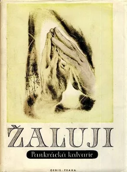 Žaluji - 1. svazek: Pankrácká kalvárie