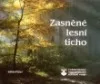 Zasněné lesní ticho