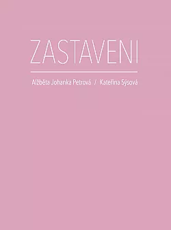 Zastaveni