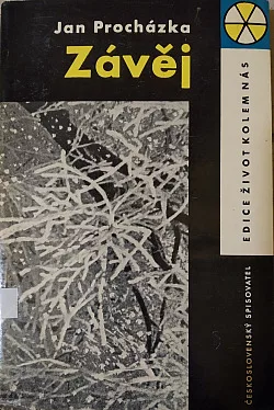Závěj