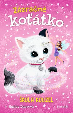 Škola kouzel