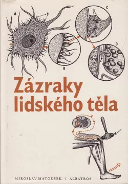 Zázraky lidského těla