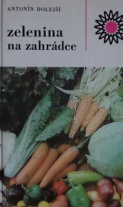 Zelenina na zahrádce