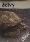 Želvy