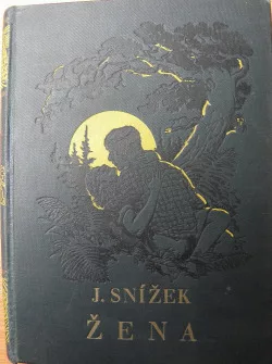 Žena