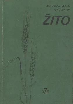 Žito
