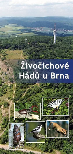 Živočichové Hádů u Brna