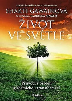 Život ve světle - Průvodce osobní a kosmickou transformací
