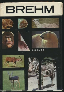 Život zvierat 4: Cicavce