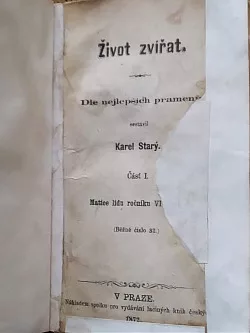 Život zvířat I. svazek: Opice a netopýři