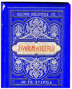 Životem k idealu