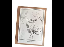 Zrkadlo života