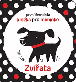 Zvířata