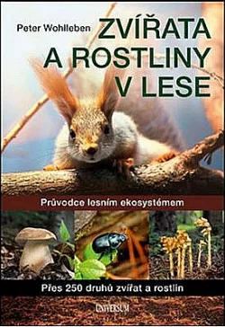 Zvířata a rostliny v lese