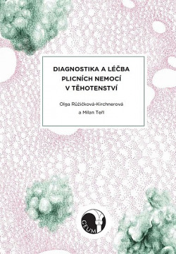 Diagnostika a léčba plicních nemocí v těhotenství