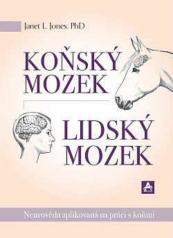 Koňský mozek, lidský mozek