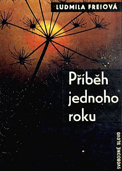 Příběh jednoho roku