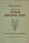 Svitek březové kůry