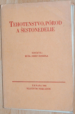 Tehotenstvo, pôrod a šestonedelie