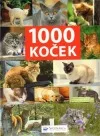 1000 koček