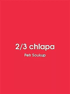 2/3 chlapa