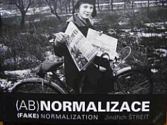 (Ab)normalizace - (Fake) normalization