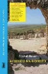 Afrikou na dohled