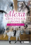 Velká šance