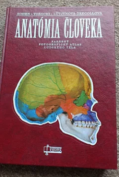 Anatómia človeka