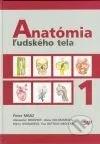 Anatómia ľudského tela