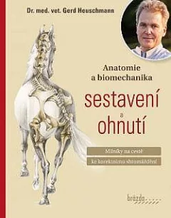 Anatomie a biomechanika sestavení a ohnutí